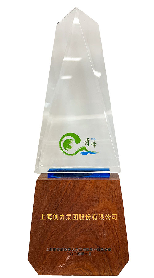 喜報！上海創(chuàng)力集團(tuán)榮獲2023年度青浦區(qū)百強(qiáng)優(yōu)秀企業(yè)等三項(xiàng)大獎(圖3)